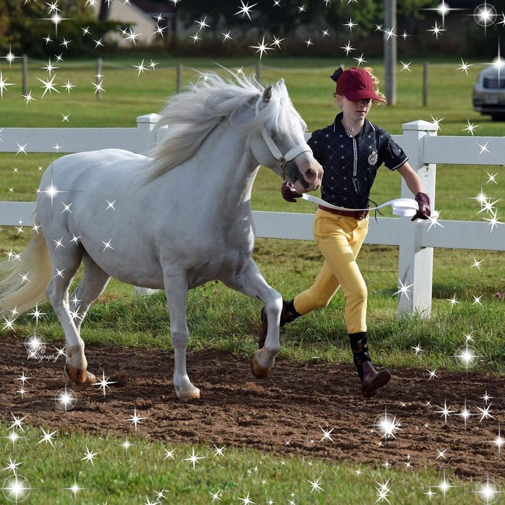 Meet your Posher, Monica